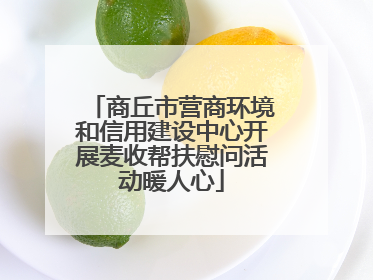 商丘市营商环境和信用建设中心开展麦收帮扶慰问活动暖人心